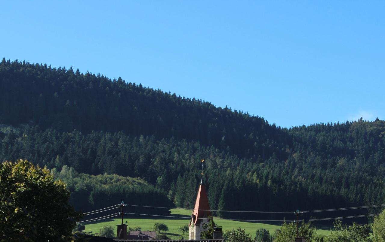 Hotel Heuberger Hof, Wehingen Esterno foto